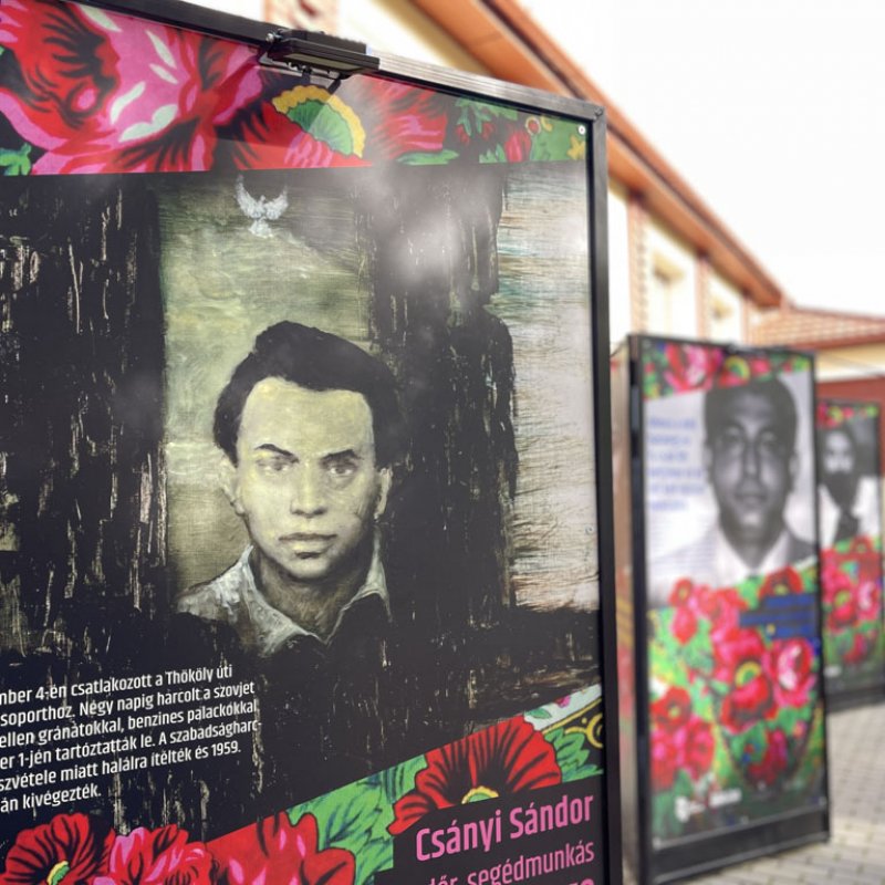 Együtt, szabadon - kiállításmegnyitó11